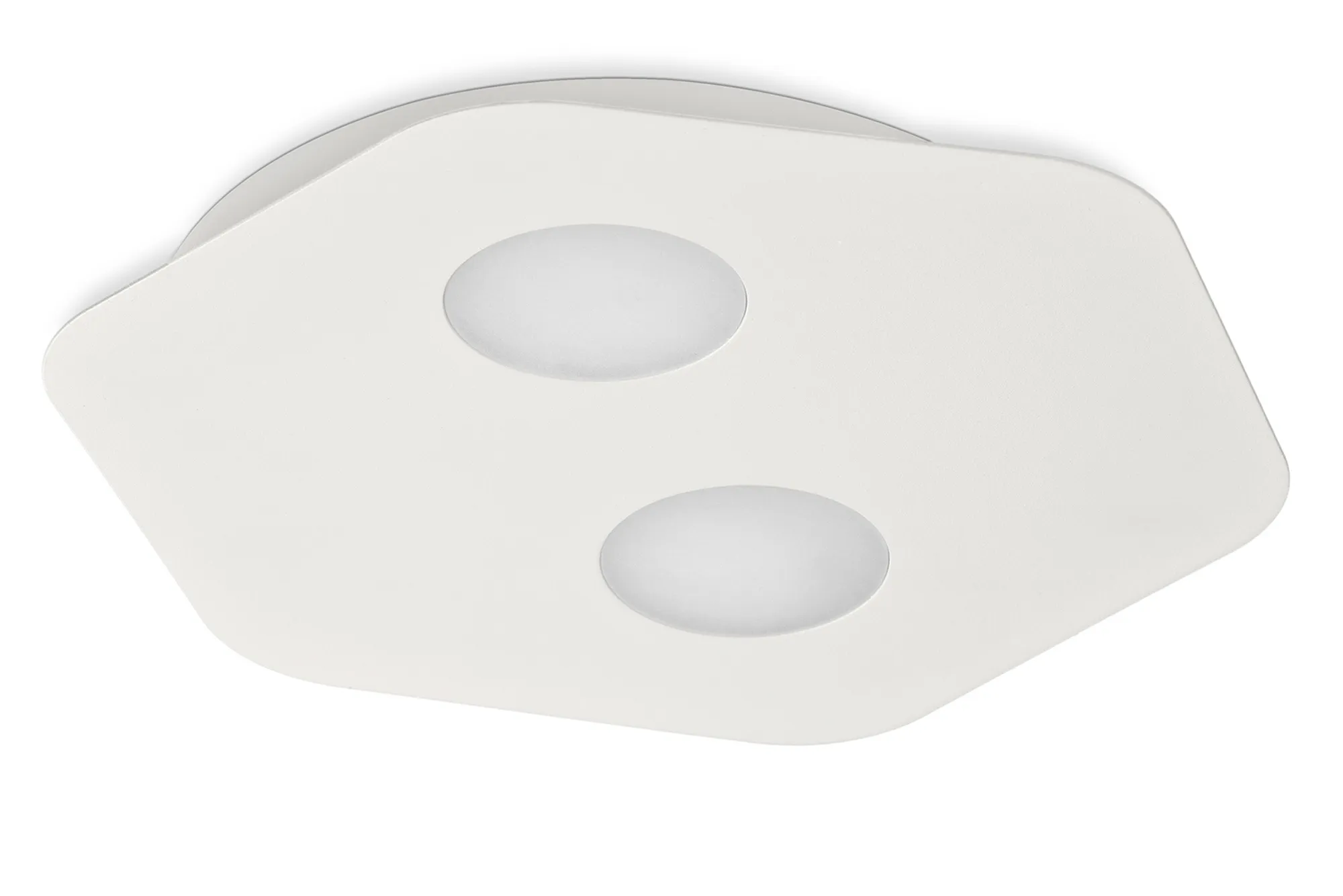 M6643  Area  Flush Ceiling 2 Light